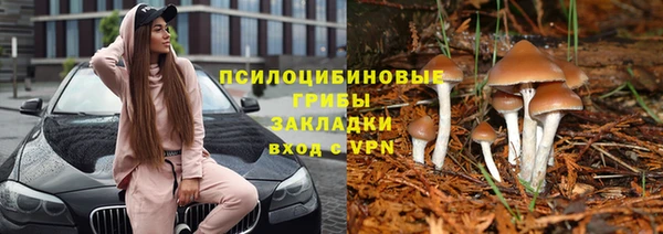 молекула духа Алзамай