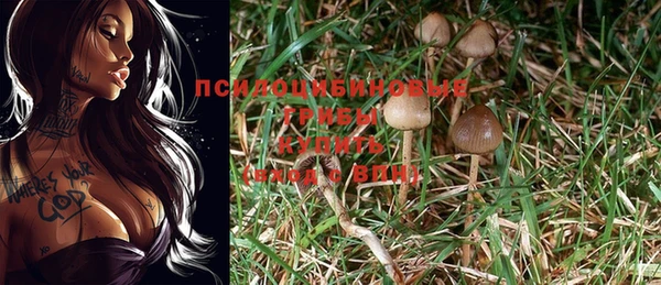 молекула духа Алзамай