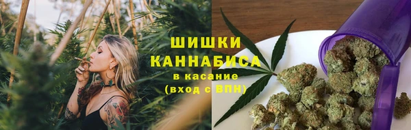 молекула духа Алзамай